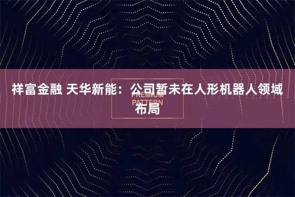 祥富金融 天华新能：公司暂未在人形机器人领域布局