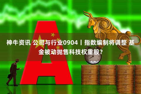神牛资讯 公司与行业0904丨指数编制将调整 基金被动抛售科技权重股？