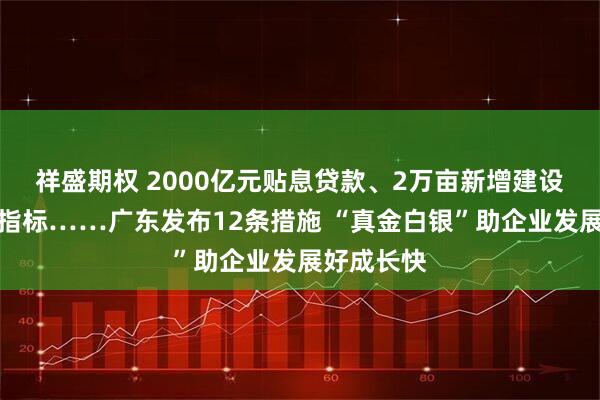 祥盛期权 2000亿元贴息贷款、2万亩新增建设用地计划指标……广东发布12条措施 “真金白银”助企业发展好成长快