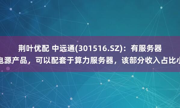 荆叶优配 中远通(301516.SZ)：有服务器电源产品，可以配套于算力服务器，该部分收入占比小