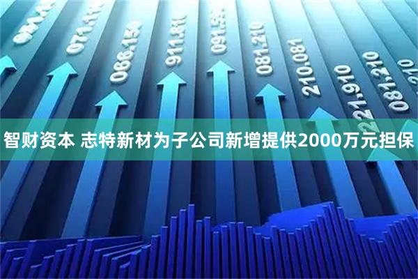 智财资本 志特新材为子公司新增提供2000万元担保