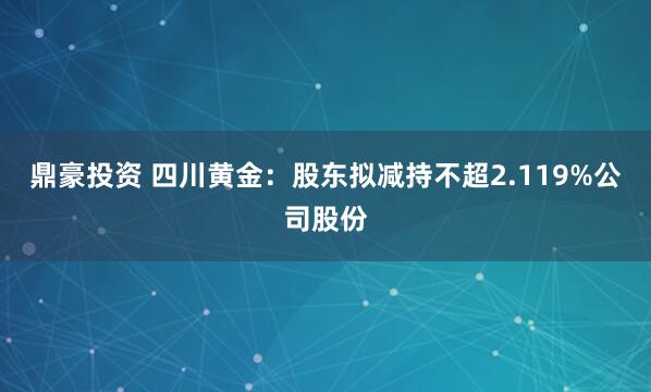 鼎豪投资 四川黄金：股东拟减持不超2.119%公司股份