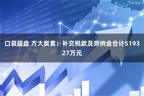 口袋超盘 方大炭素：补交税款及滞纳金合计519327万元